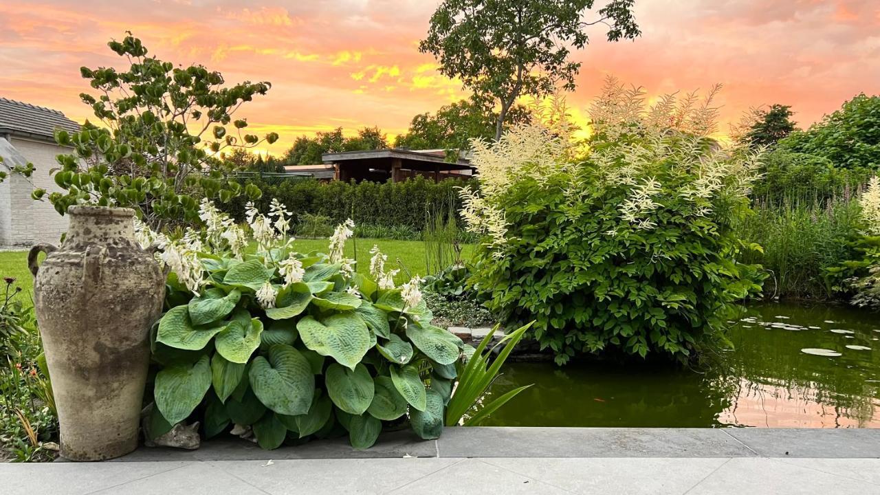 Ikigai Bed & Breakfast Oud-Turnhout ภายนอก รูปภาพ
