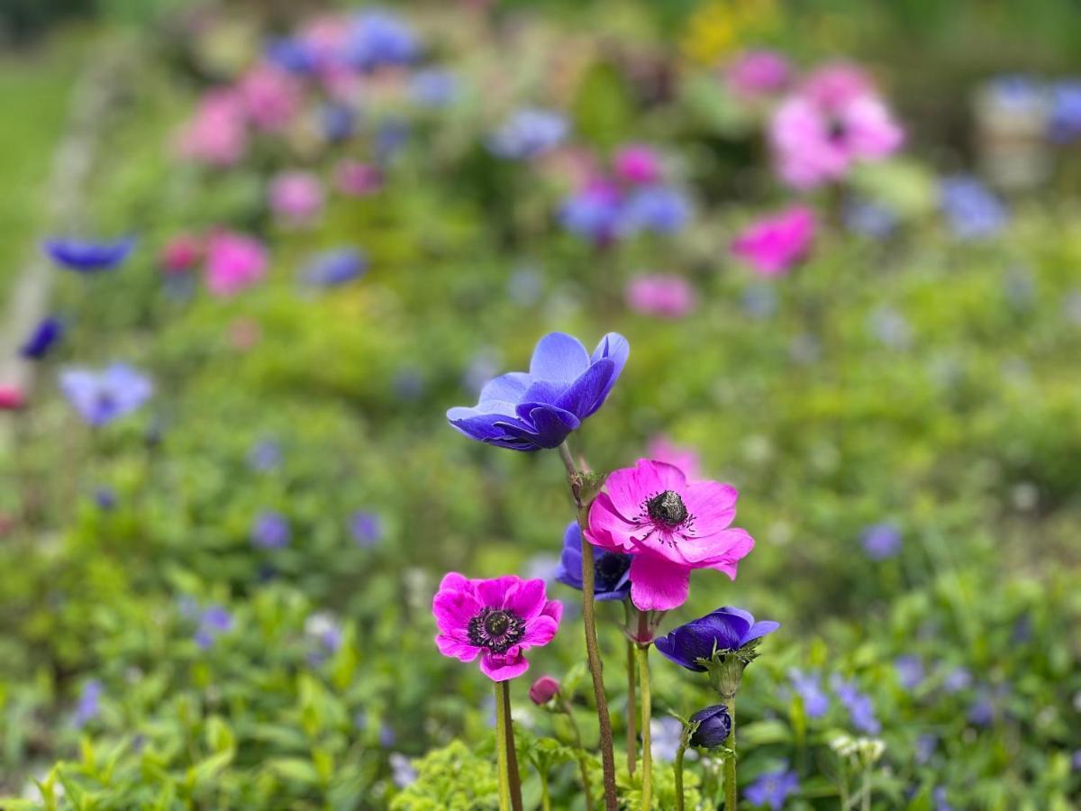 Ikigai B&B - Wellness Oud-Turnhout ภายนอก รูปภาพ