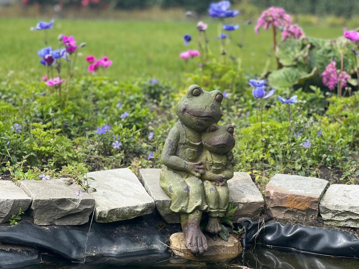 Ikigai B&B - Wellness Oud-Turnhout ภายนอก รูปภาพ