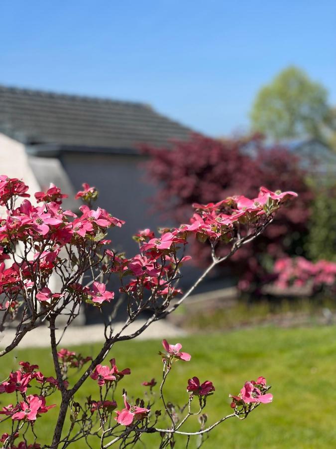 Ikigai Bed & Breakfast Oud-Turnhout ภายนอก รูปภาพ