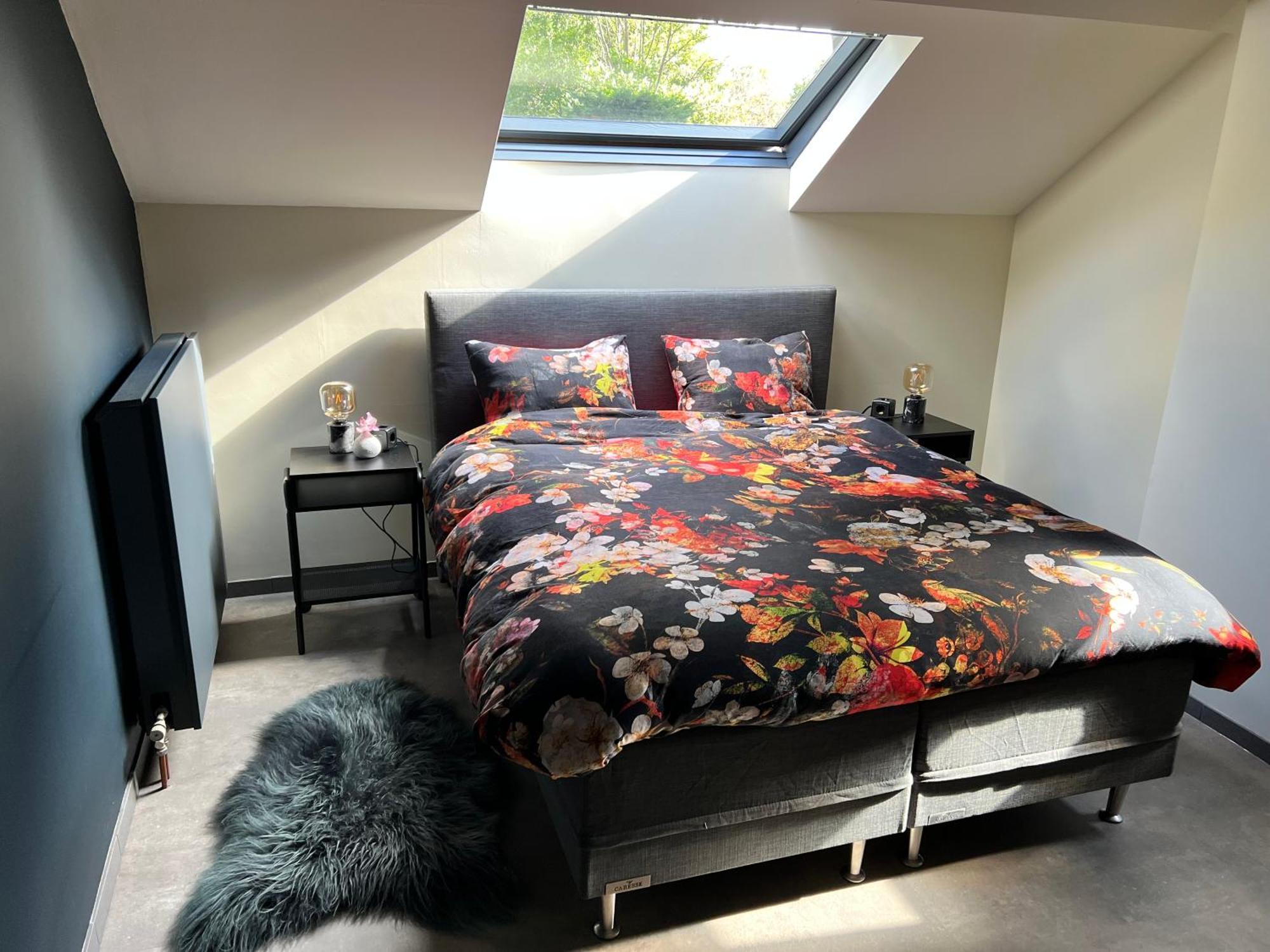 Ikigai Bed & Breakfast Oud-Turnhout ภายนอก รูปภาพ