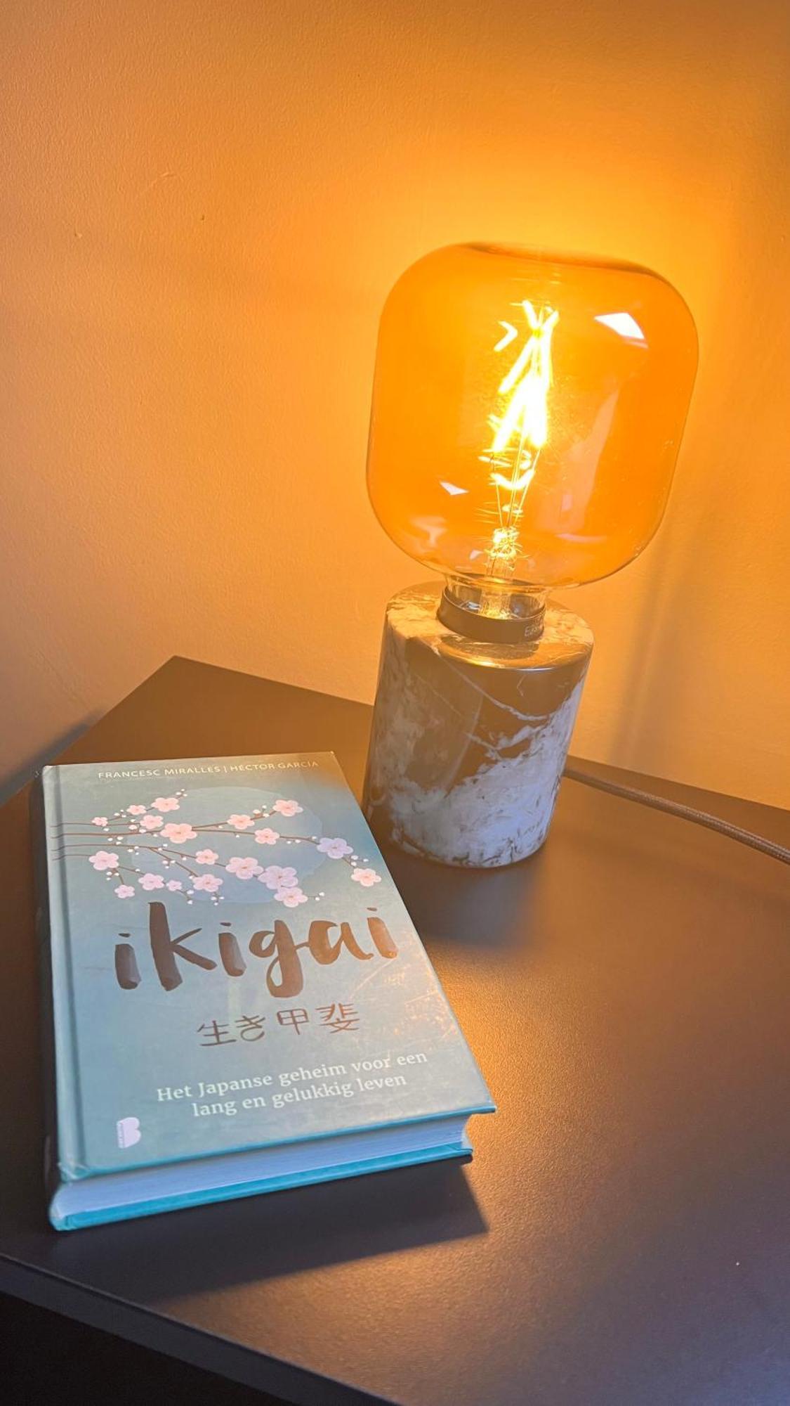 Ikigai Bed & Breakfast Oud-Turnhout ห้อง รูปภาพ
