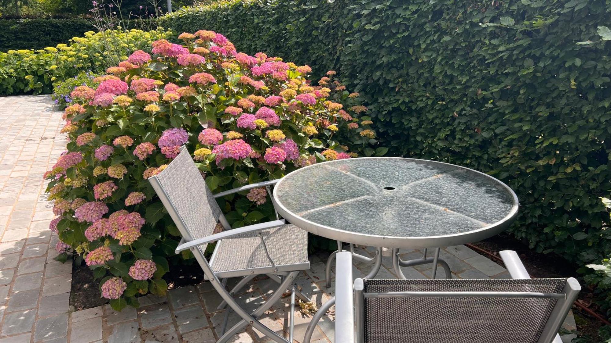 Ikigai Bed & Breakfast Oud-Turnhout ภายนอก รูปภาพ