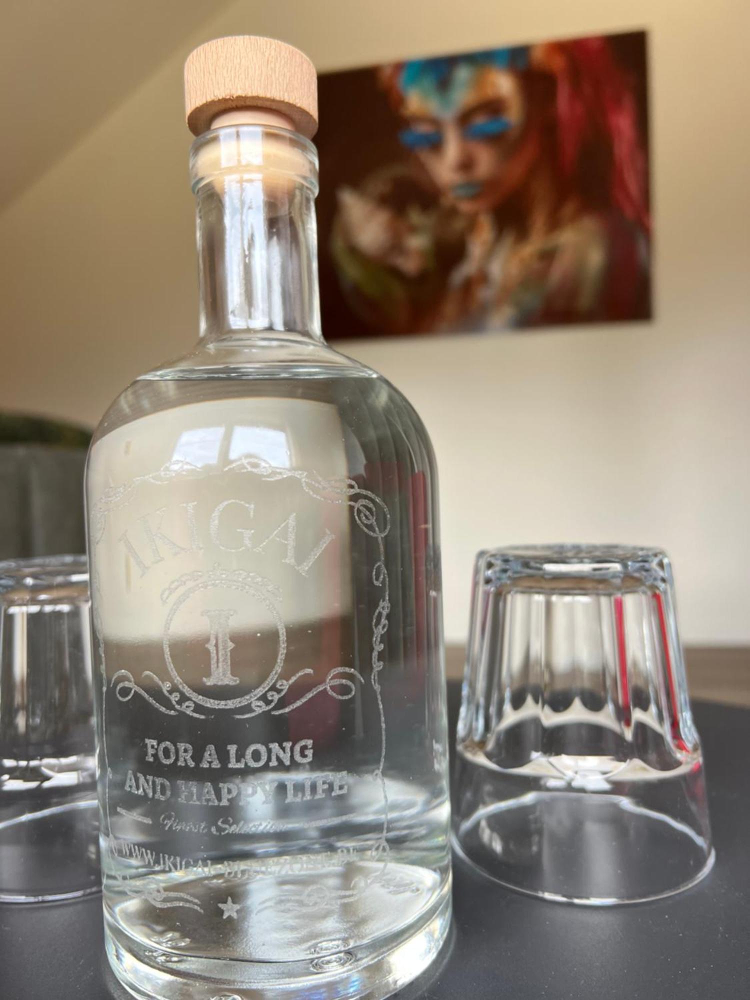 Ikigai B&B - Wellness Oud-Turnhout ภายนอก รูปภาพ