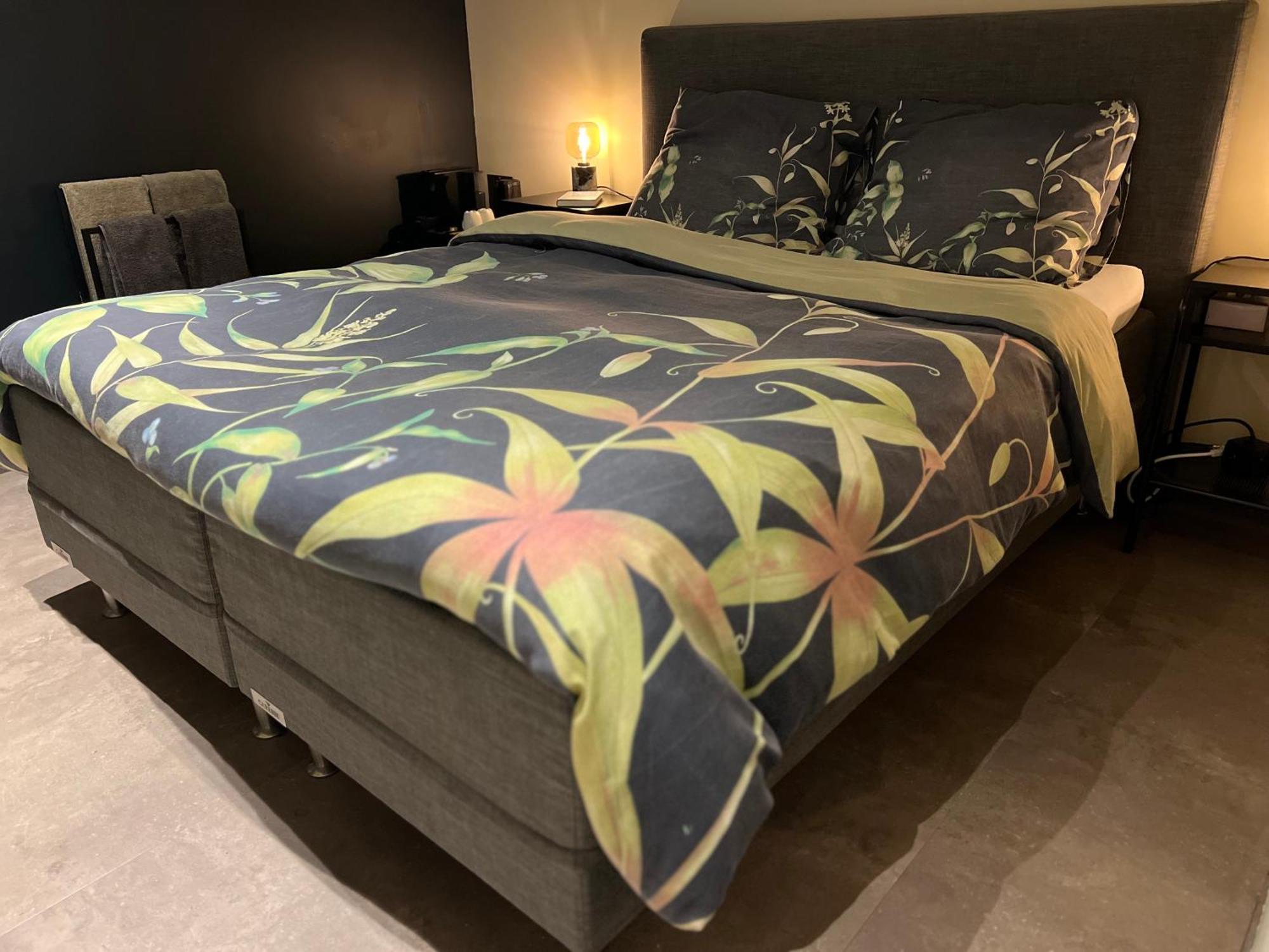 Ikigai B&B - Wellness Oud-Turnhout ภายนอก รูปภาพ